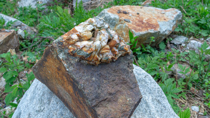 Obraz premium A mineral found in the mountains. The rock consists of crystalline growths on a hard stone. Nature in a mountainous area. Hard rock rocks.