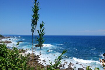 南紀の綺麗な海