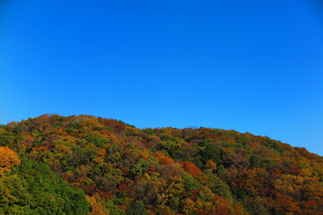 公園から見た秋の空と秋の山の風景35