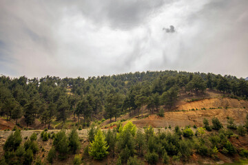 Fototapeta premium clouds over forested mountain