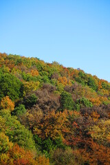 公園から見た秋の空と秋の山の風景11