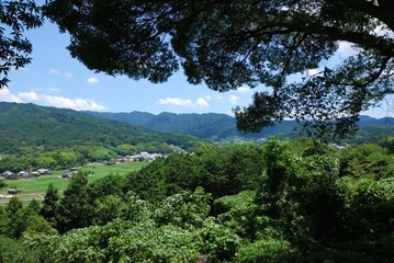 飛鳥の風景