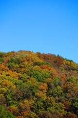 公園から見た秋の空と秋の山の風景3