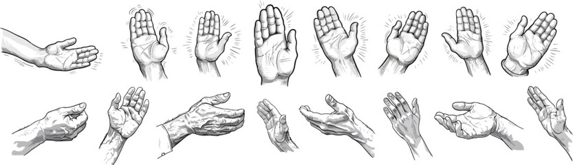 Charcoal Doodle Scribble Collection Hand Drawn Gestures Such As Praying Clapping Open Closed Hand Poses Illustrations Isolated On White Human Body Part Arm Palm Finger Grabbing Reaching Pointing