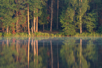 Foggy morning on the lake