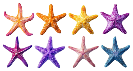Set of colorful starfish in vivid colors, cut out