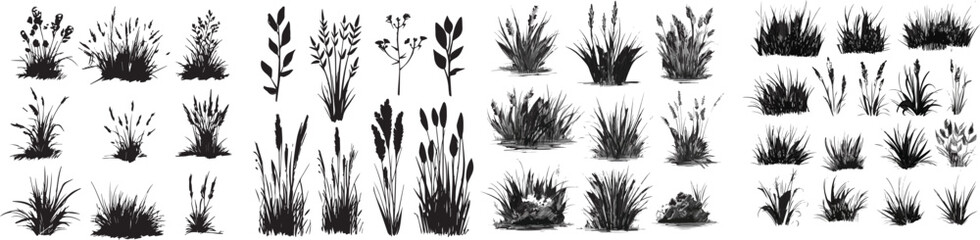 Charcoal doodle scribble in showcasing grass silhouettes wildflower meadow plants cattail reeds bushes creating a botanical illustration for nature landscape garden decorations