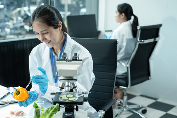 Fototapeta premium Eco laboratory microbiology. Sample in a Microscope and comparing a plant or herb in test tube or glassware. Natural product and meat.