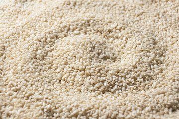Pile of White Roasted Sesame Macro Side View