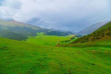 Fototapeta premium green grass covered mountains at overcast rainy summer day