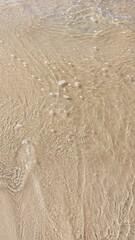 Beach sand background. Close-up view of sand texture.