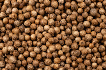 Coriander grains macro top view.