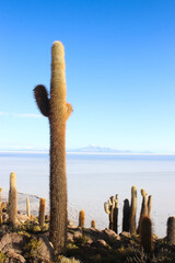 Salar de Uyuni