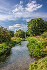 Waterford Heath is a 35.2 hectare Local Nature Reserve in Waterford, Hertfordshire, England.