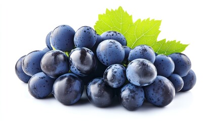 Fresh Cluster of Dark Blue Grapes with a Green Leaf