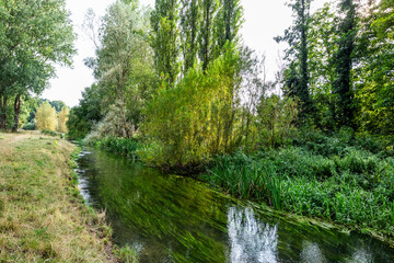 Waterford Heath is a 35.2 hectare Local Nature Reserve in Waterford, Hertfordshire, England.