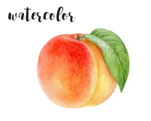 This is a Beautiful and Vibrant Watercolor Illustration showcasing a Peach and its Half