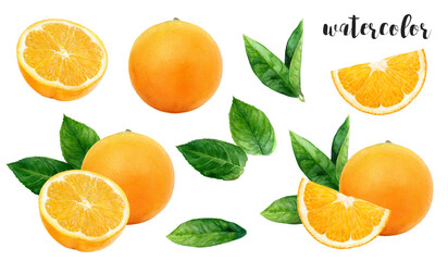 A beautiful and artistic watercolor illustration featuring vibrant Orange with Leaves