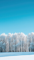 Obraz premium A Serene Winter Landscape: Frosted Trees Stand Tall Against a Bright Blue Sky, Creating a Breathtaking Scene of Tranquility and Peace.