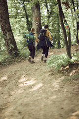 Two Women Hiking In The Forest