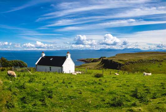 Pretty white cottage on the coast of Isle of Skye with sheep grazing in it's surrounding fields and blue skies and seas in the background. - Powered by Adobe