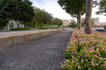 Obraz premium Urban public parkland features a paved pathway bordered by vibrant pink flowerbeds. Tall trees provide shade, with modern buildings visible in the background. This community outdoor green space