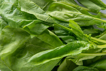 Spinach green leaves on salad healthy food