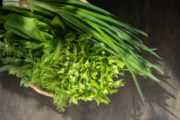 Green onions, spinach, parsley and dill. Vitamin food. Prepare greens for salad. Set different leaves for green borscht