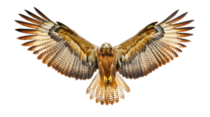 Majestic golden eagle in flight with wings fully spread, showcasing its powerful feathers isolated on PNG cutout background.