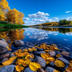 Obraz premium the autumn forest landscape with lake