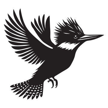 recommend clip art: Belted Kingfisher silhouette - Megaceryle alcyon Clipart - Belted Kingfisher flying upwards illustration in black and white