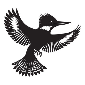 recommend clip art: Belted Kingfisher silhouette - Megaceryle Alcyon Clipart - Belted Kingfisher hovering mid-air illustration in black and white