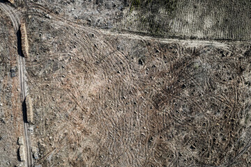 Flying above horrible deforestation, environmental destruction in Poland