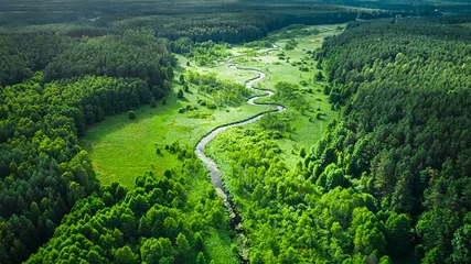 Gordijnen Bos rivier Stunning aerial view of winding river and forest in summer  © shaiith