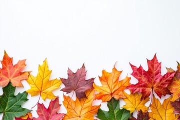 Fototapeta premium Autumn Maple Leaves Flat Lay White Background created with Generative AI