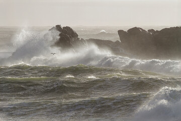 Typical northern portuguese coast wind storm