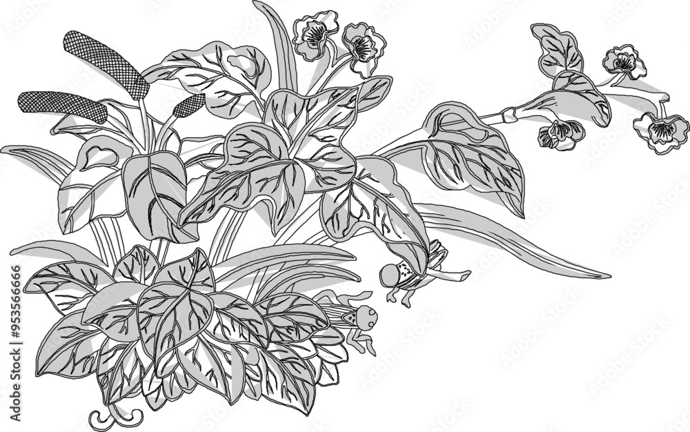 Wall mural vector sketch, illustration, silhouette, design, frame, background, pattern, natural floral ornament