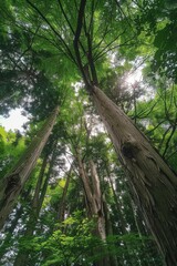 Obraz premium https://s