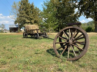 Fototapeta premium old farm wagon in the park