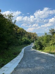 beautiful path in the park