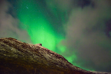 northern lights in the mountains 