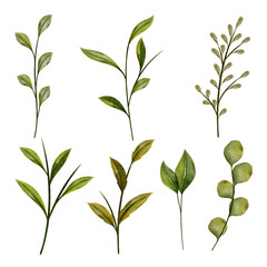 Watercolor leaf branch set for vector brush, isolated on white background