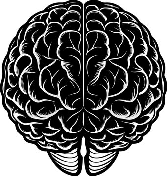 recommend clip art: human brain silhouette vector, brain with cerebrum side black and white outline, human brain icon.