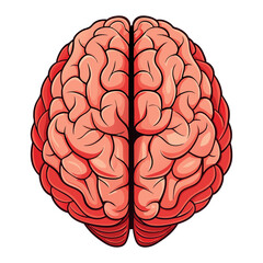 simple flat style human brain vector illustration, Brain or mind side outline, human brain icon.