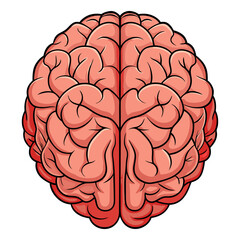 simple flat style human brain vector illustration, Brain or mind side outline, human brain icon.