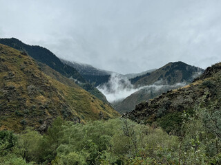 mountains, river, wood, trees, view, smoke