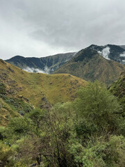 mountains, river, wood, trees, view, smoke