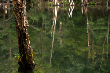 兵庫県・三田市、生きる