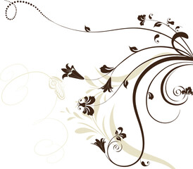 Floral spring swirl vector background with  leaves
