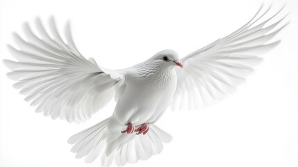 Obraz premium White Dove in Mid-Flight with Wings Spread Generative AI